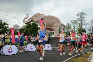 BIB: 
                            <button type="button" onclick="openModal(26528288)" class="btn btn-primary btn-sm float-right btn-popup" data-toggle="modal" data-target=".modal-high-quality">
                        <i class="fas fa-shopping-cart"></i> Add to Cart
                    </button>
                                            <button type="button" onclick="isThisMe(26528288, true)" class="btn btn-success btn-sm float-right btn-popup btn-isme hidden" data-toggle="tooltip" data-placement="bottom" title="นี่คือรูปของคุณใช่ไหม คลิกที่นี่เพื่อเอาเข้าอัลบั้ม">
                        <i class="fas fa-plus"></i> Add to album
                    </button>
                    <button type="button" onclick="isThisMe(26528288, false)" class="btn btn-warning btn-sm float-right btn-popup btn-isnotme hidden">
                        <i class="fas fa-ban"></i> Remove from album
                    </button>